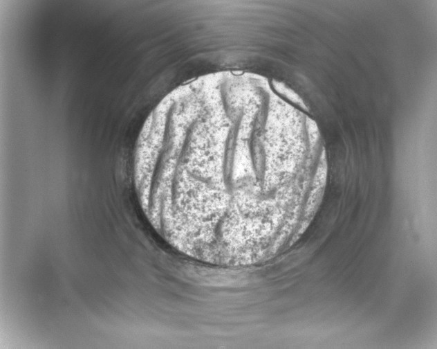 X0000072550044200608111850