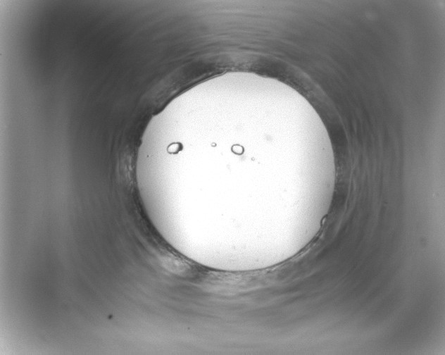 X0000072550045200608111850