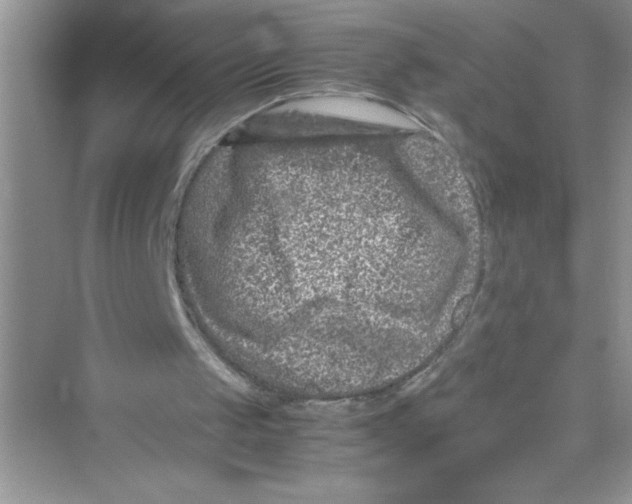 X0000072550049200608111849