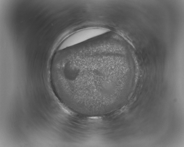 X0000072550053200608111849