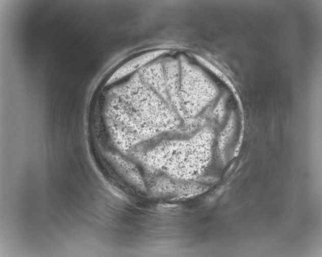 X0000072550055200608111849