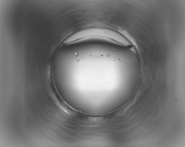 X0000072550057200608111849