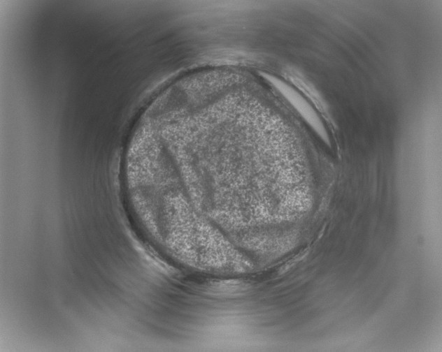 X0000072550058200608111849