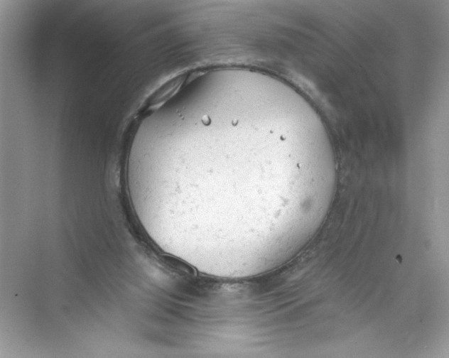 X0000072550060200608111849