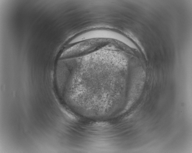 X0000072550063200608111849