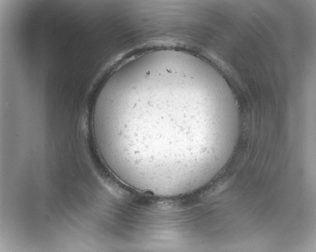 X0000072550064200608111849