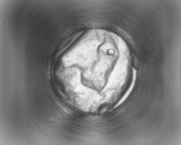 X0000072550065200608111849