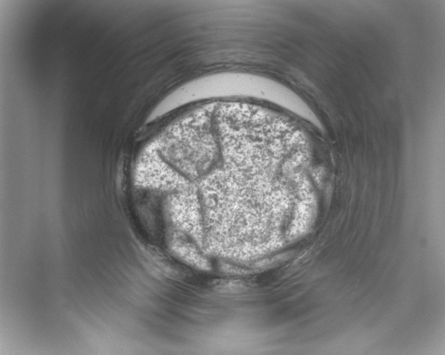 X0000072550074200608111850