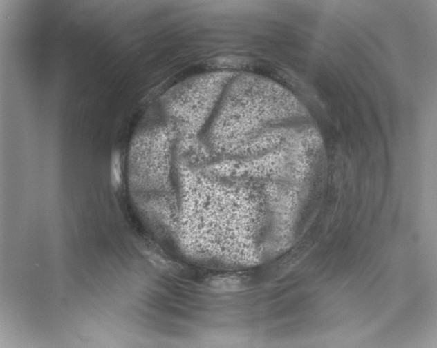 X0000072550075200608111850