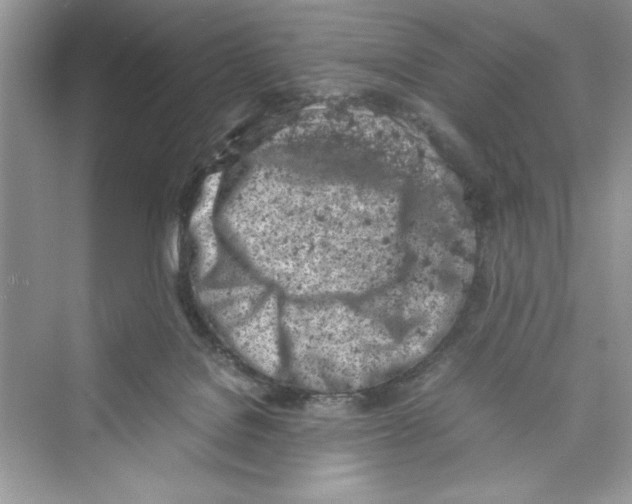 X0000072550076200608111850