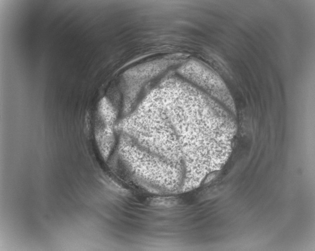 X0000072550077200608111850