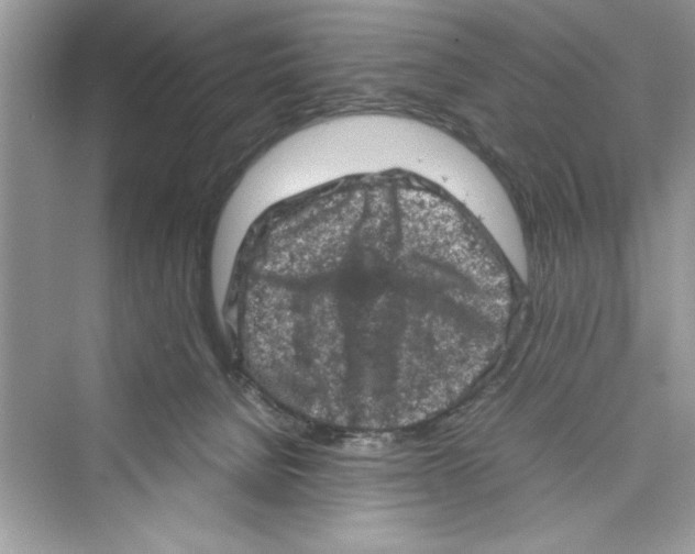 X0000072550080200608111850