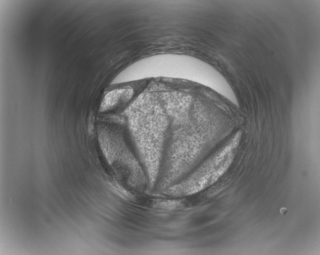 X0000072550081200608111850