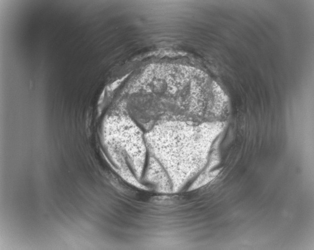 X0000072550082200608111850