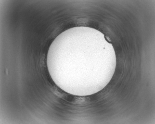 X0000072550083200608111850