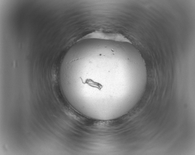 X0000072550084200608111850