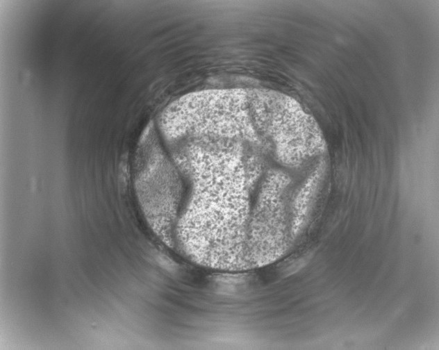 X0000072550085200608111850