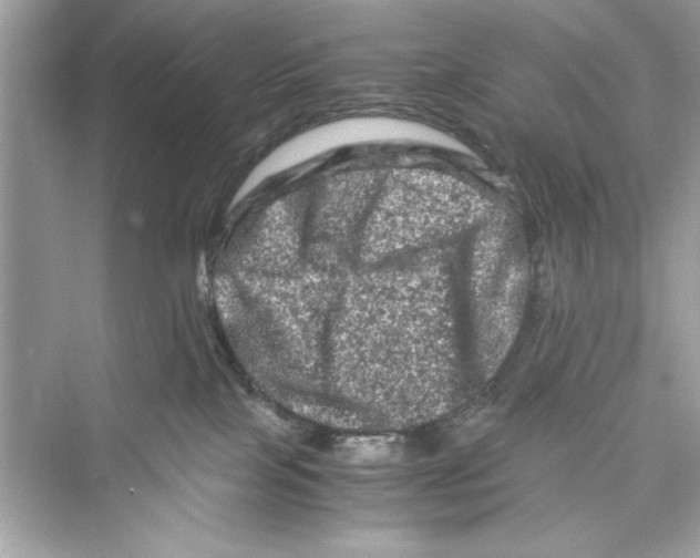 X0000072550089200608111850