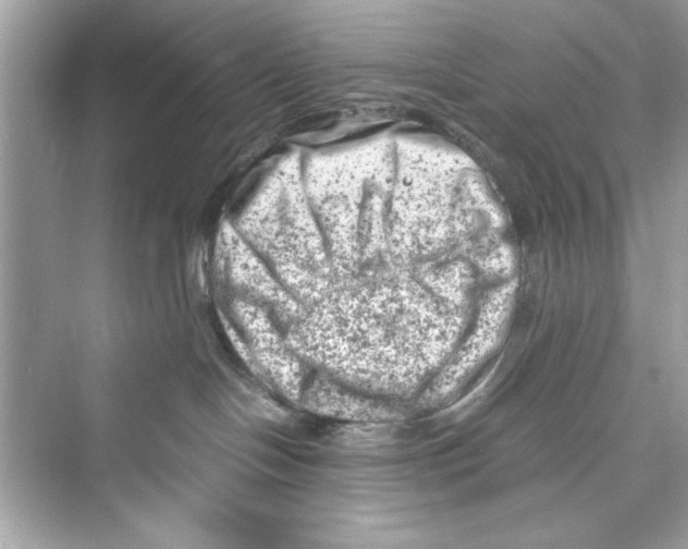 X0000072550094200608111850