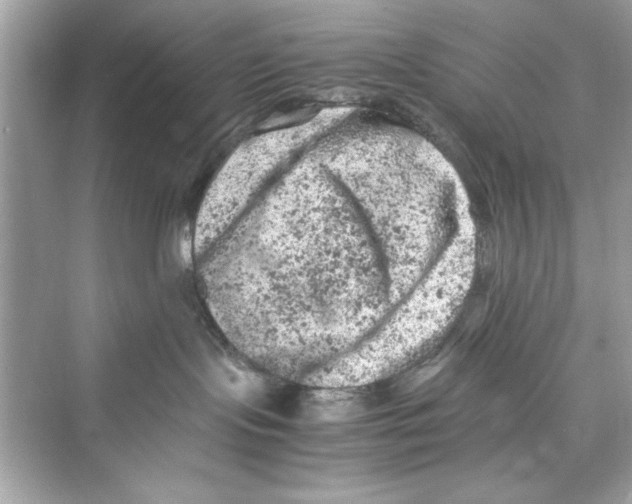 X0000072550095200608111850