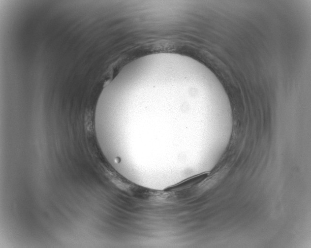 X0000072550096200608111850