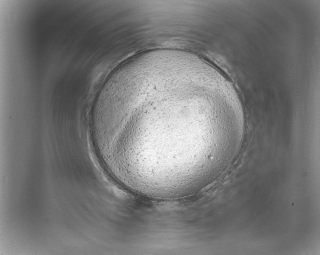 X0000072550097200608111849