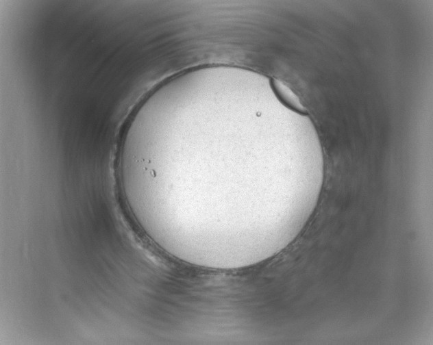 X0000072550098200608111849