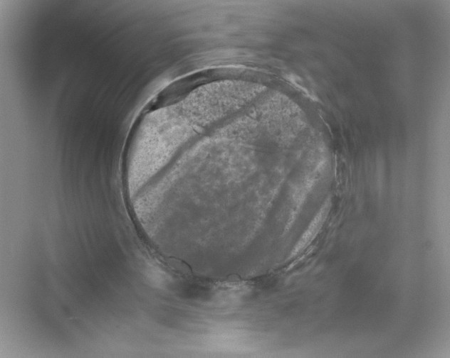 X0000072550099200608111849