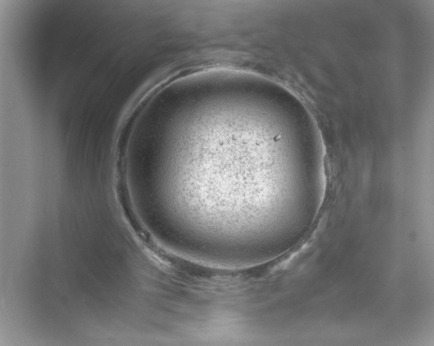 X0000072550101200608111849