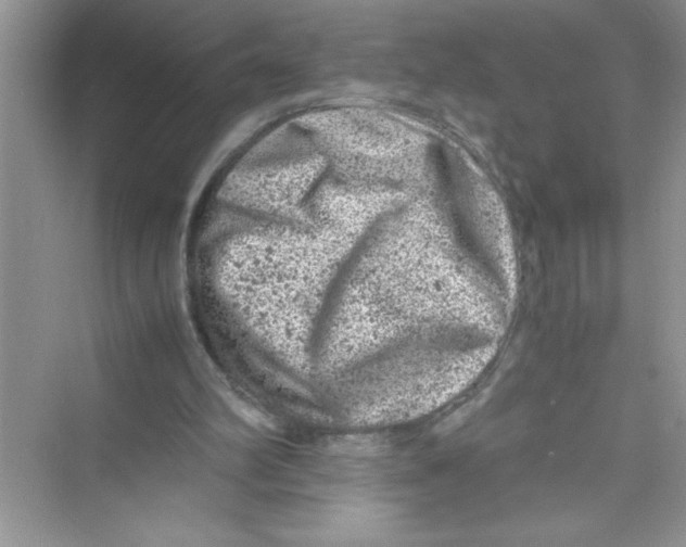 X0000072550102200608111849