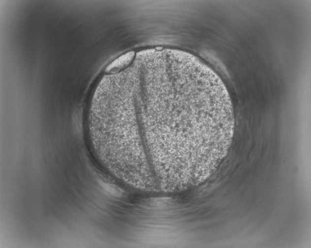 X0000072550108200608111849