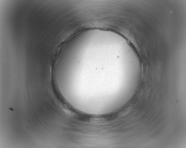 X0000072550109200608111849