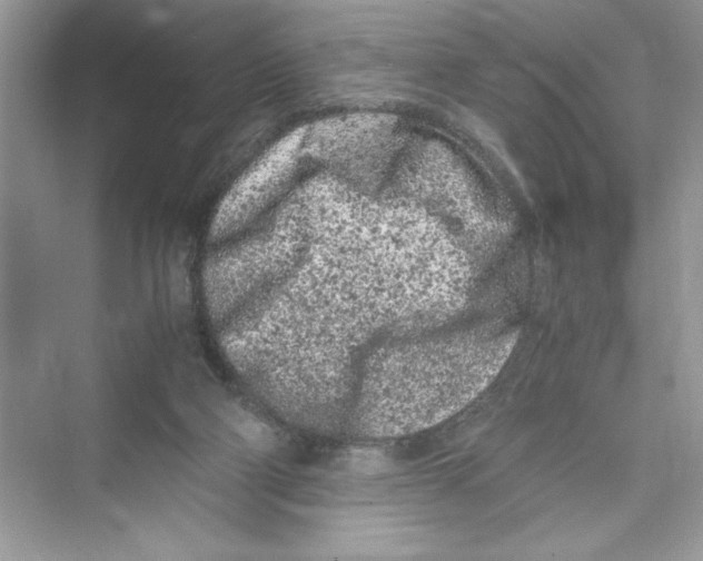 X0000072550114200608111849