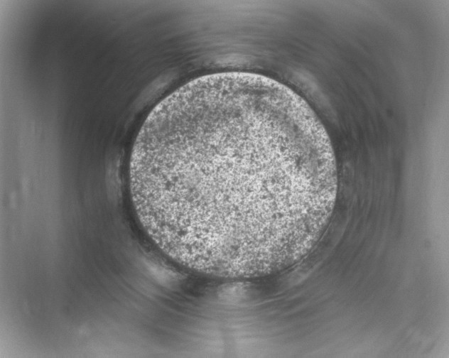 X0000072550116200608111849