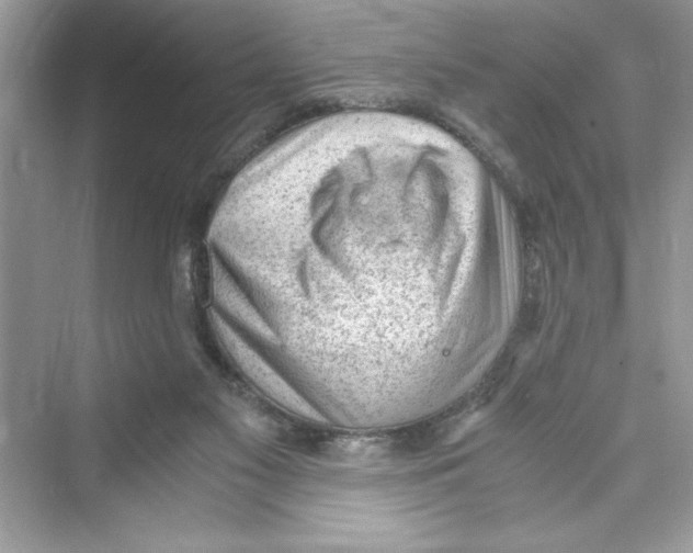 X0000072550117200608111849