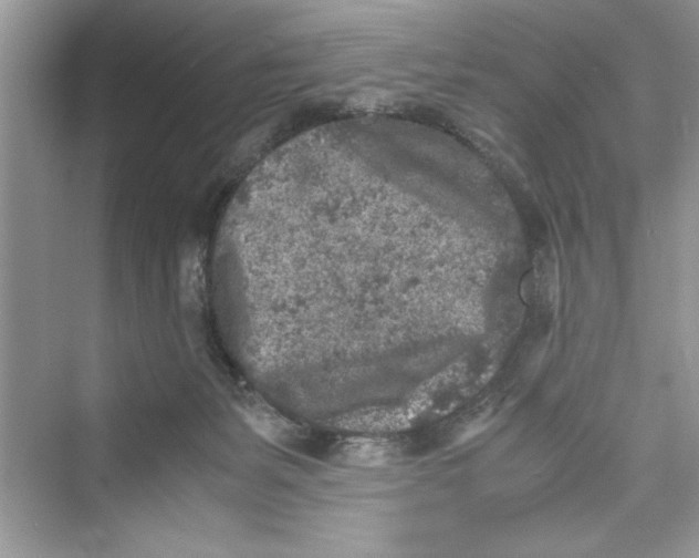 X0000072550127200608111849