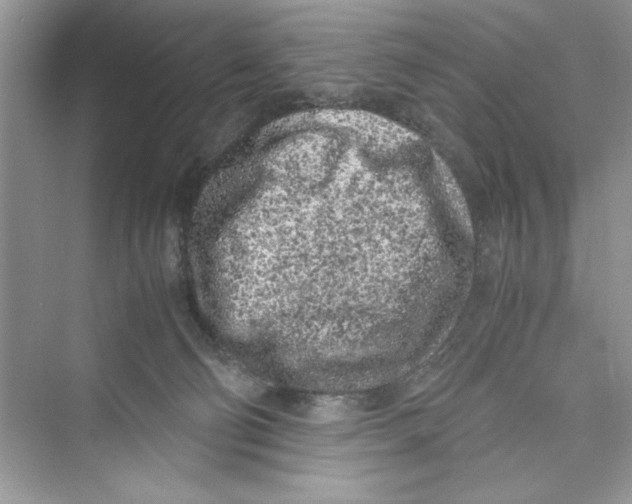 X0000072550130200608111849