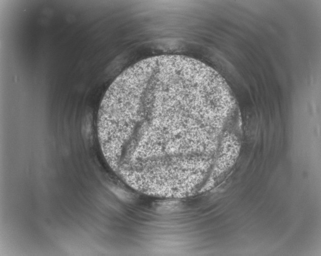 X0000072550132200608111849