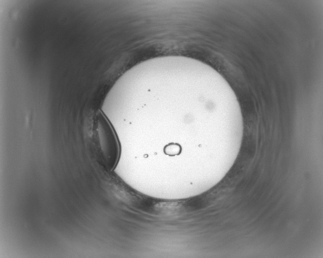 X0000072550133200608111849