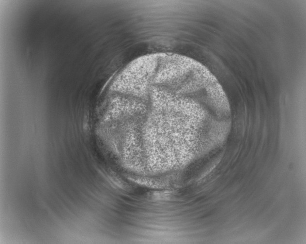 X0000072550134200608111849