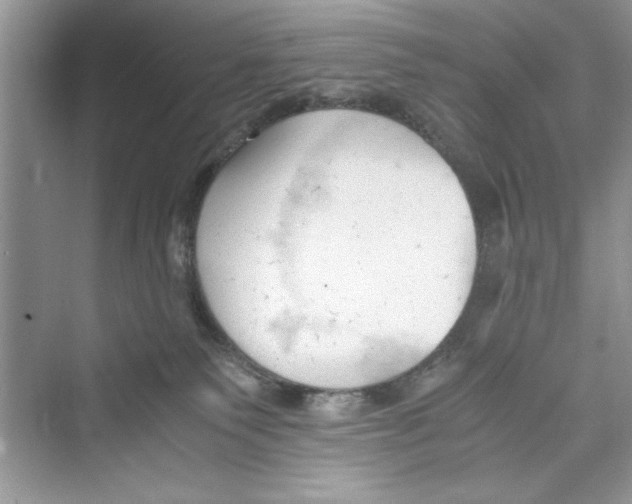 X0000072550135200608111849