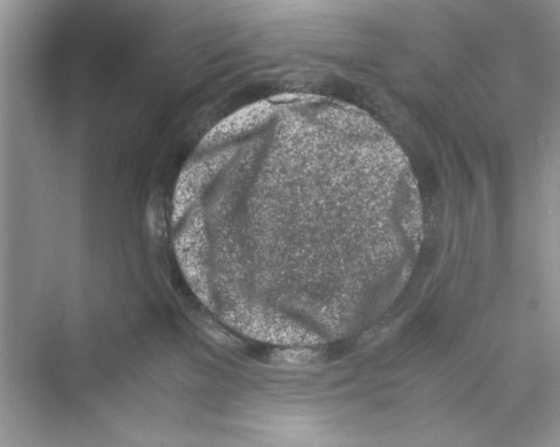 X0000072550137200608111849