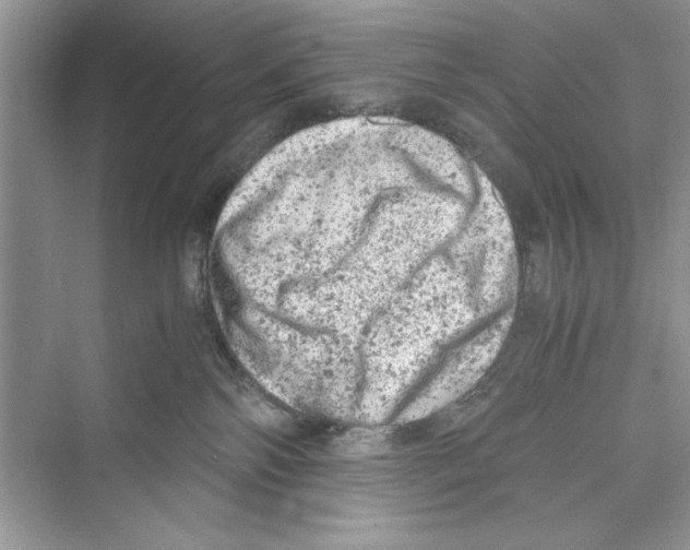 X0000072550138200608111848