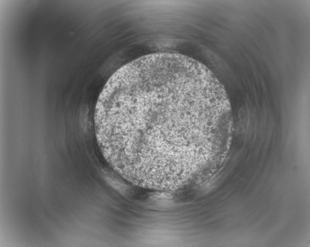 X0000072550140200608111848