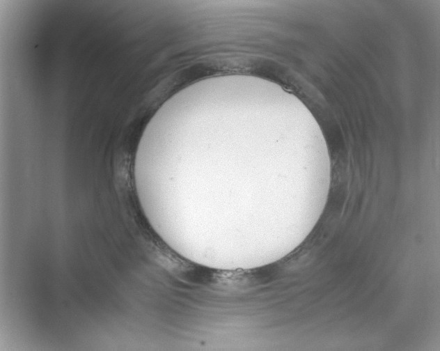 X0000072550141200608111848