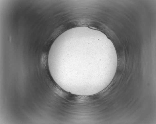 X0000072550142200608111848