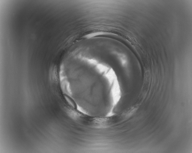 X0000072550143200608111848