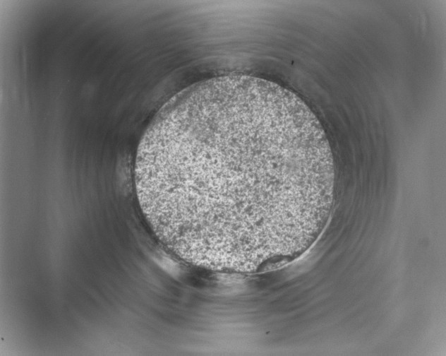 X0000072550144200608111848