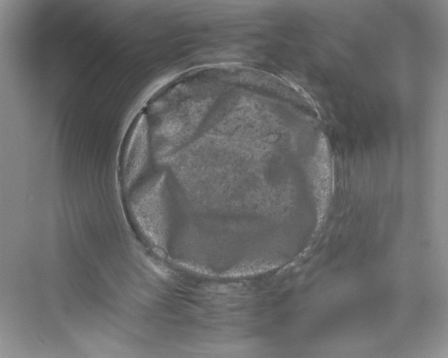 X0000072550147200608111848