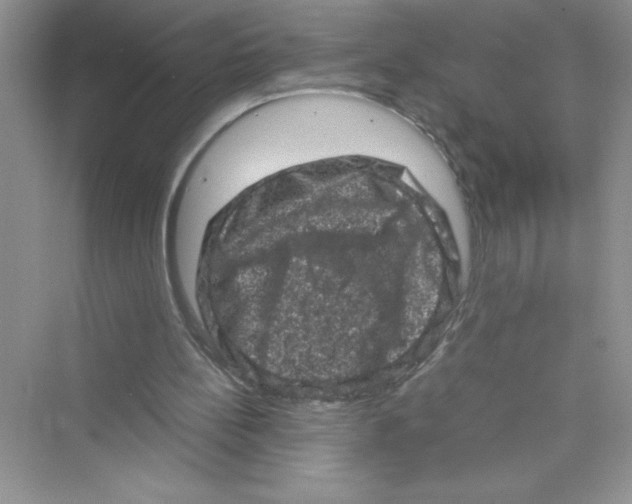 X0000072550148200608111848